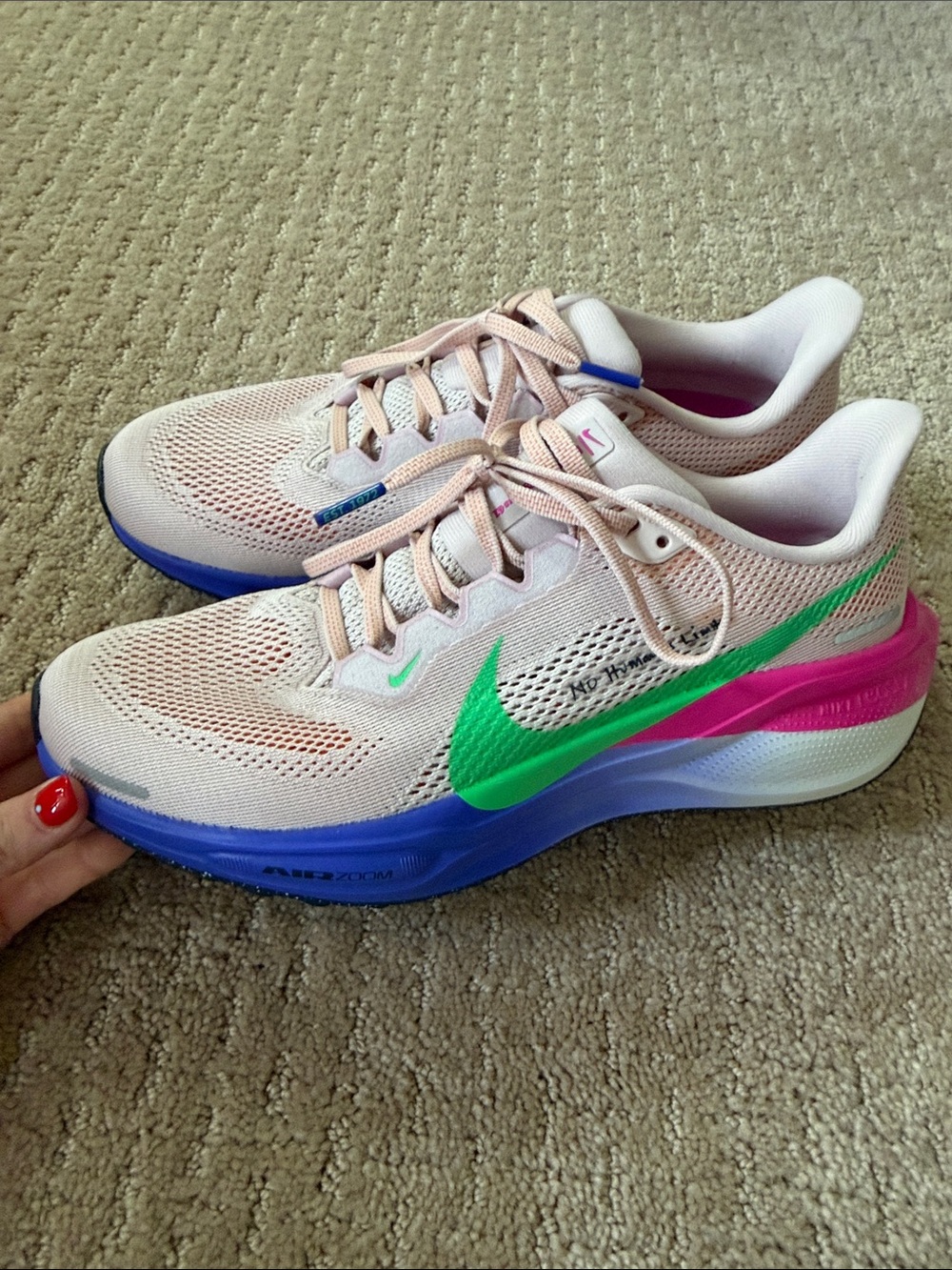Nike brand new special edition Pegasus